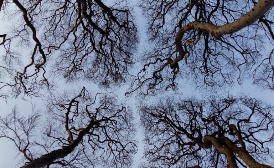 Short closure for Bodily Repair!