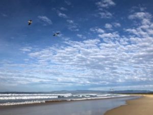 April 2022: Open for OnLine, Reopening for In-Person soon!