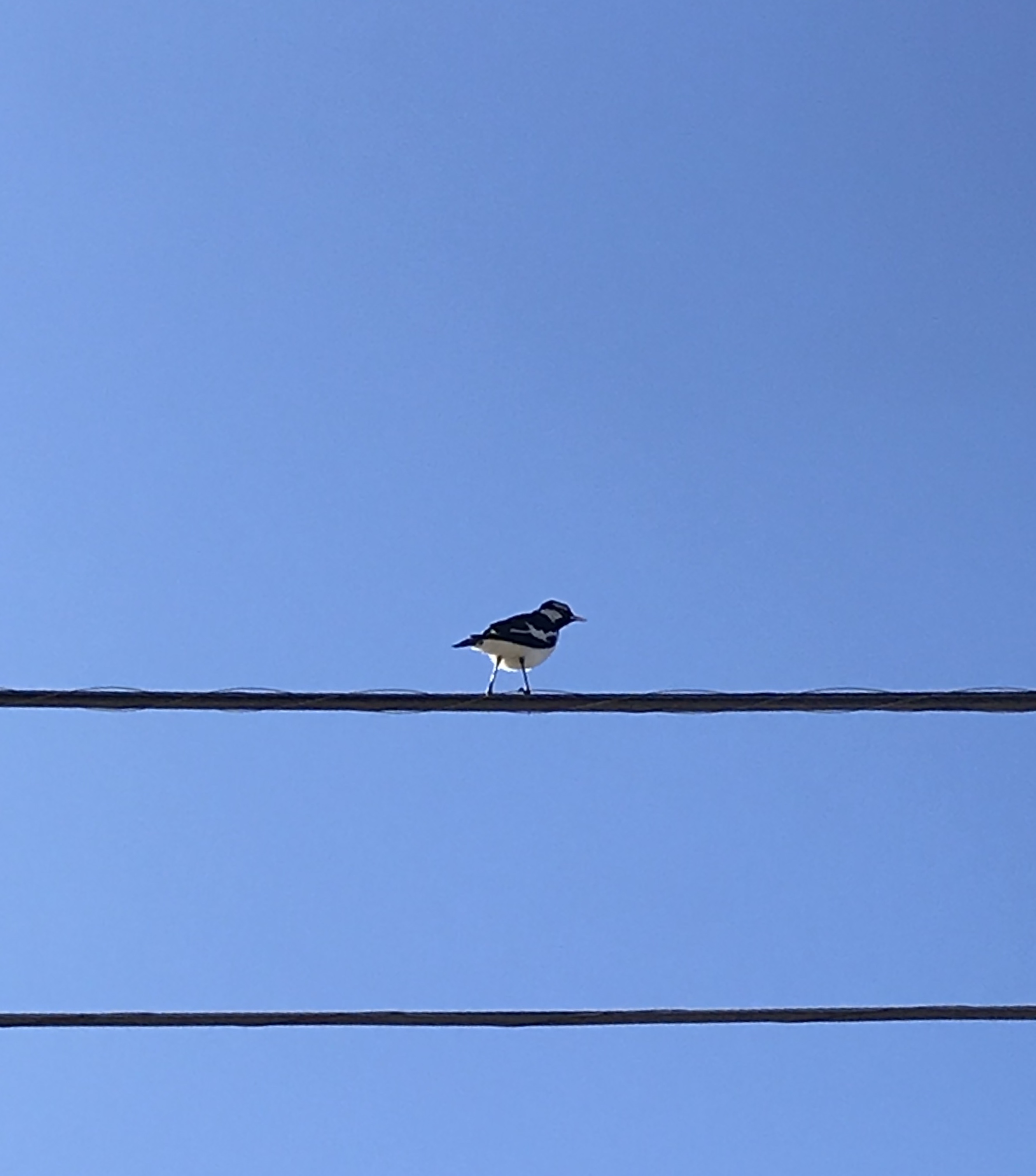 Bookings for 2022 and end of year close.