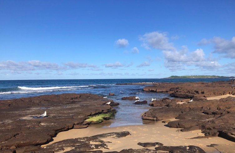 Slow reopening in Newtown for in-person appointments, November 2021